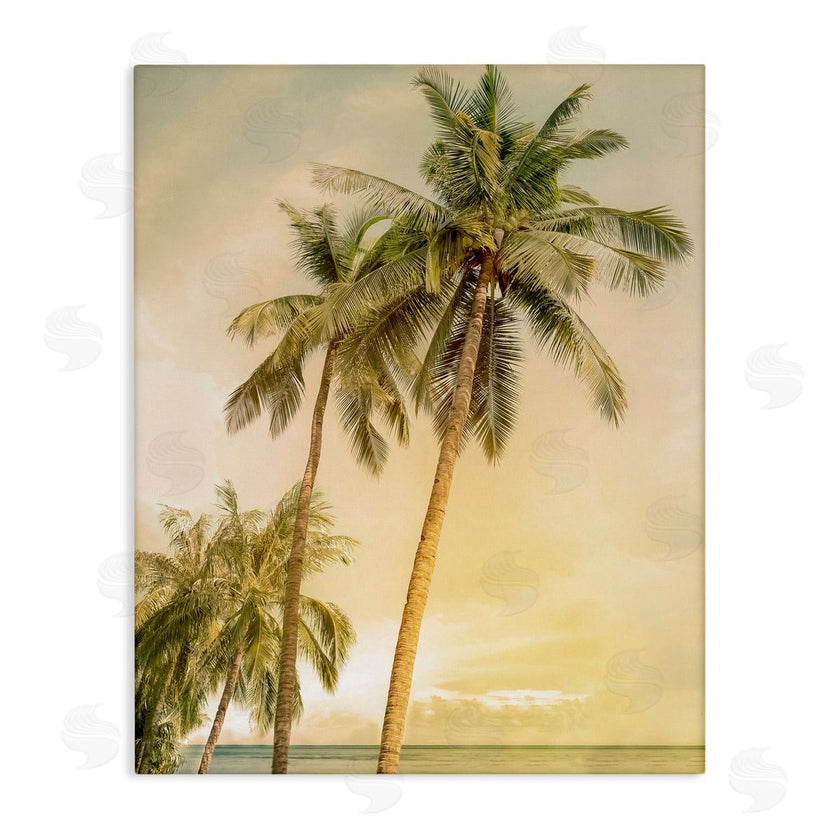 Mike Calascibetta | Sunrise Palm Trees
