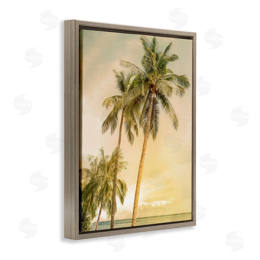 Mike Calascibetta | Sunrise Palm Trees