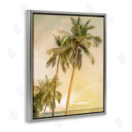 Mike Calascibetta | Sunrise Palm Trees