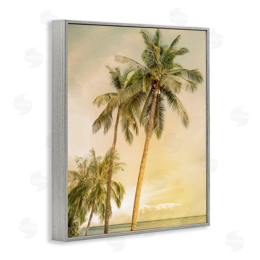 Mike Calascibetta | Sunrise Palm Trees
