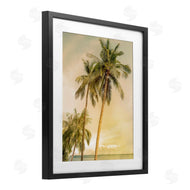 Mike Calascibetta | Sunrise Palm Trees