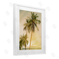Mike Calascibetta | Sunrise Palm Trees