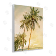 Mike Calascibetta | Sunrise Palm Trees