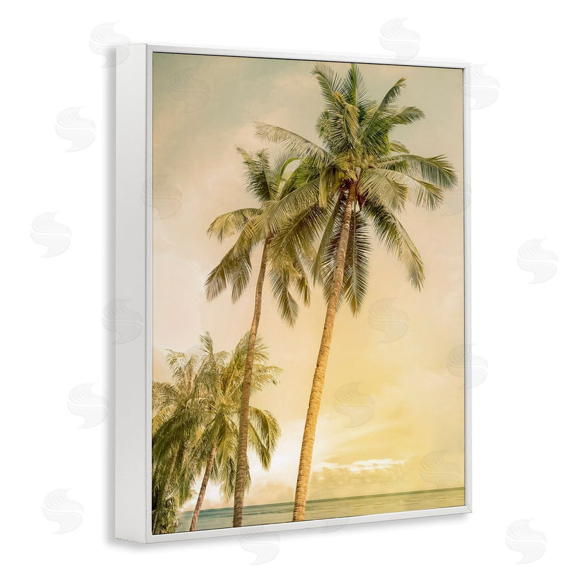 Mike Calascibetta | Sunrise Palm Trees