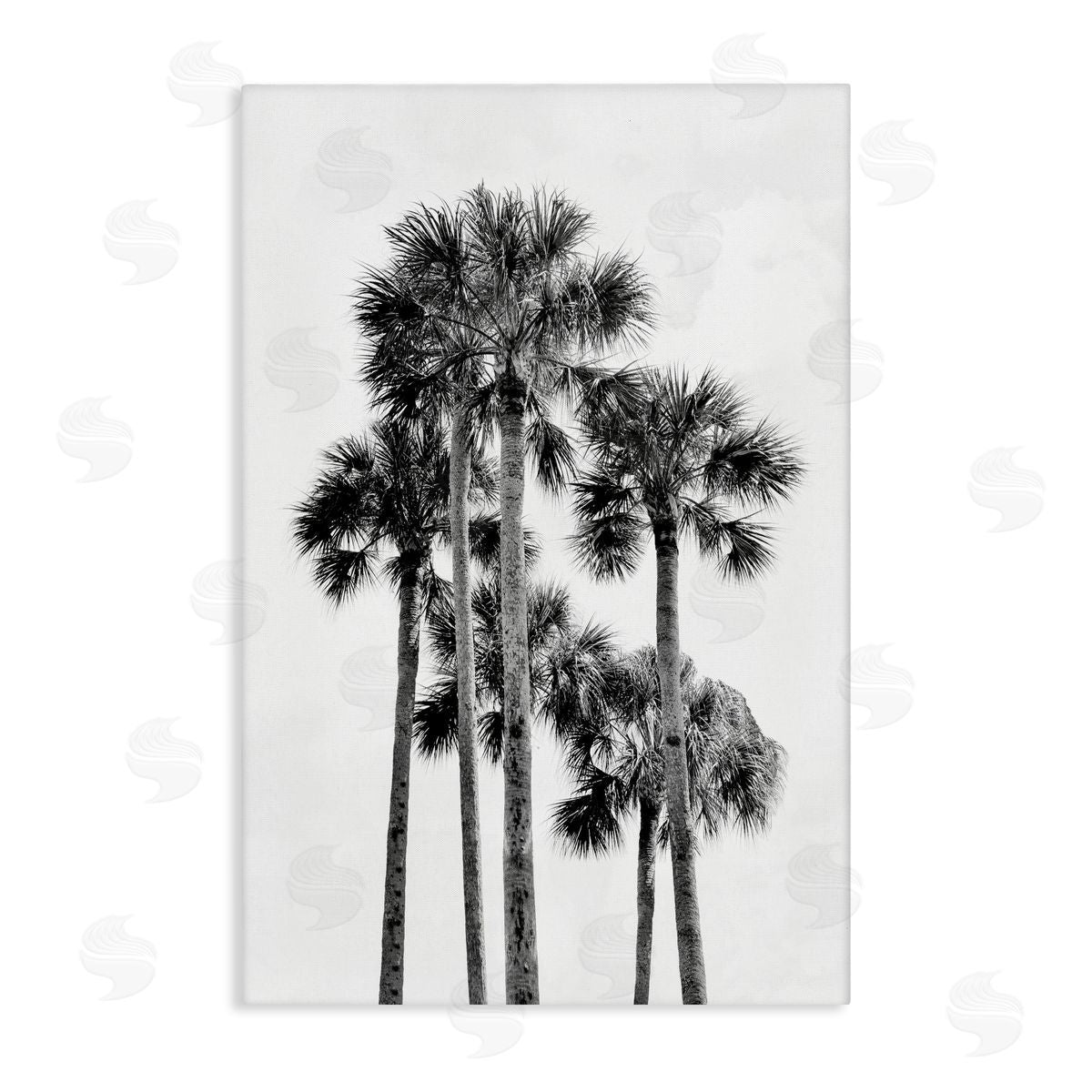Natalie Carpentieri Black & White Palm Tropics Canvas Wall Art Print