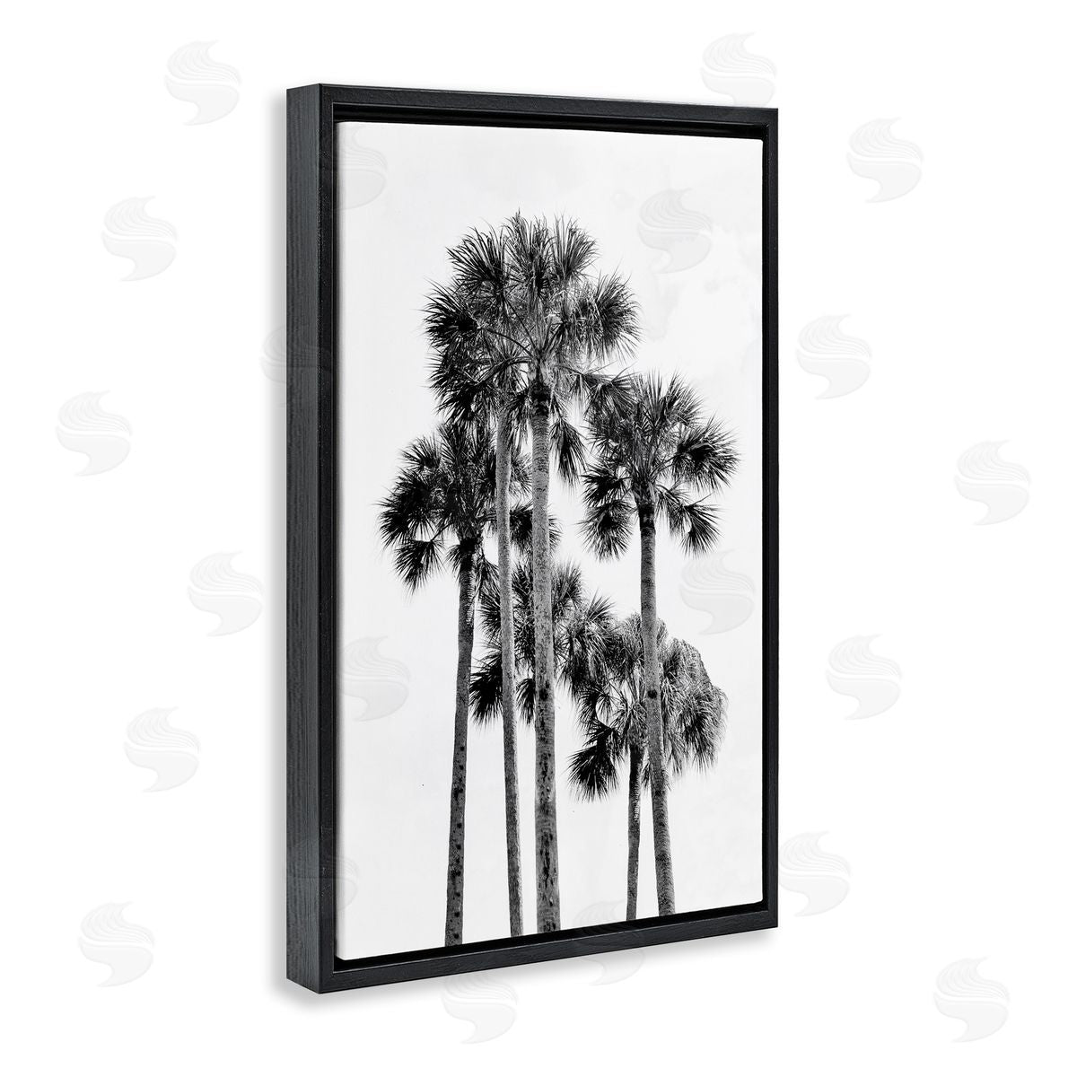 Natalie Carpentieri Black & White Palm Tropics Canvas Wall Art Print