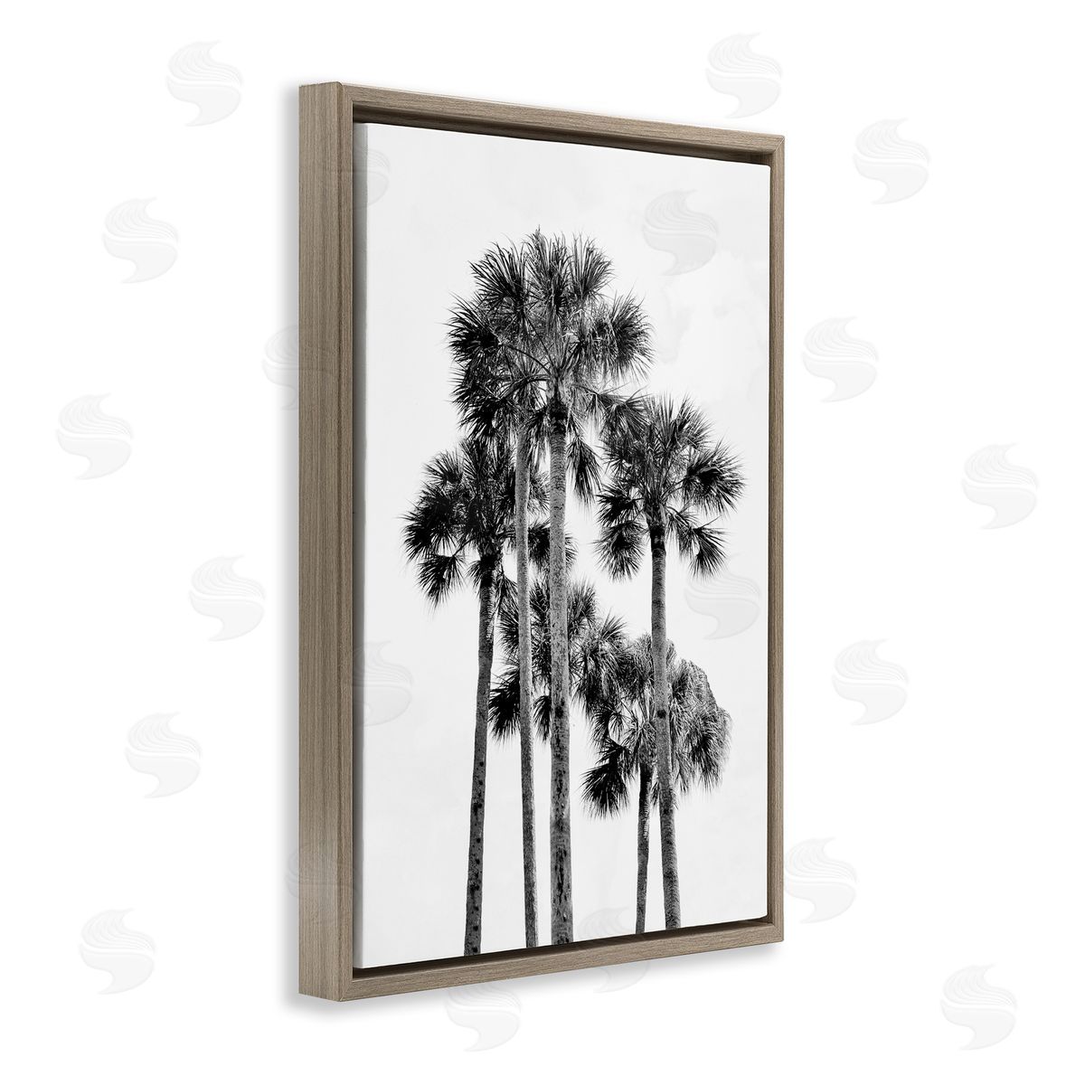 Natalie Carpentieri Black & White Palm Tropics Canvas Wall Art Print