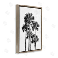 Natalie Carpentieri | Black & White Palm Tropics