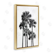 Natalie Carpentieri | Black & White Palm Tropics