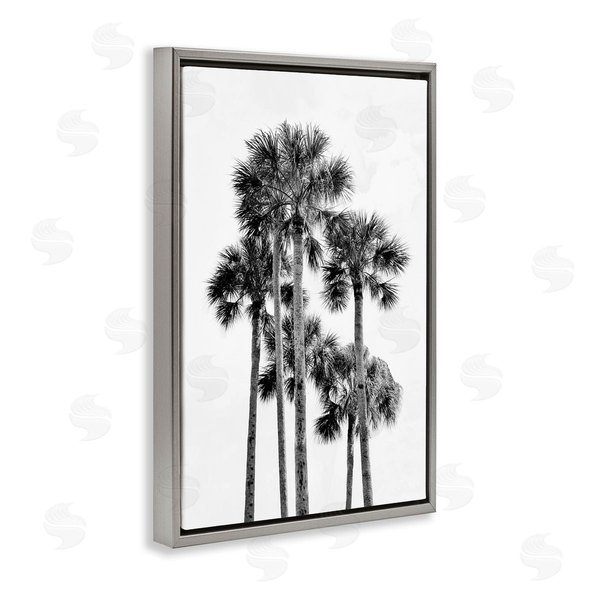 Natalie Carpentieri Black & White Palm Tropics Canvas Wall Art Print