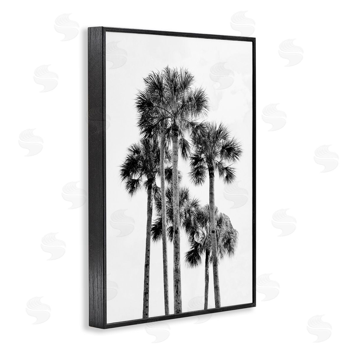 Natalie Carpentieri Black & White Palm Tropics Canvas Wall Art Print