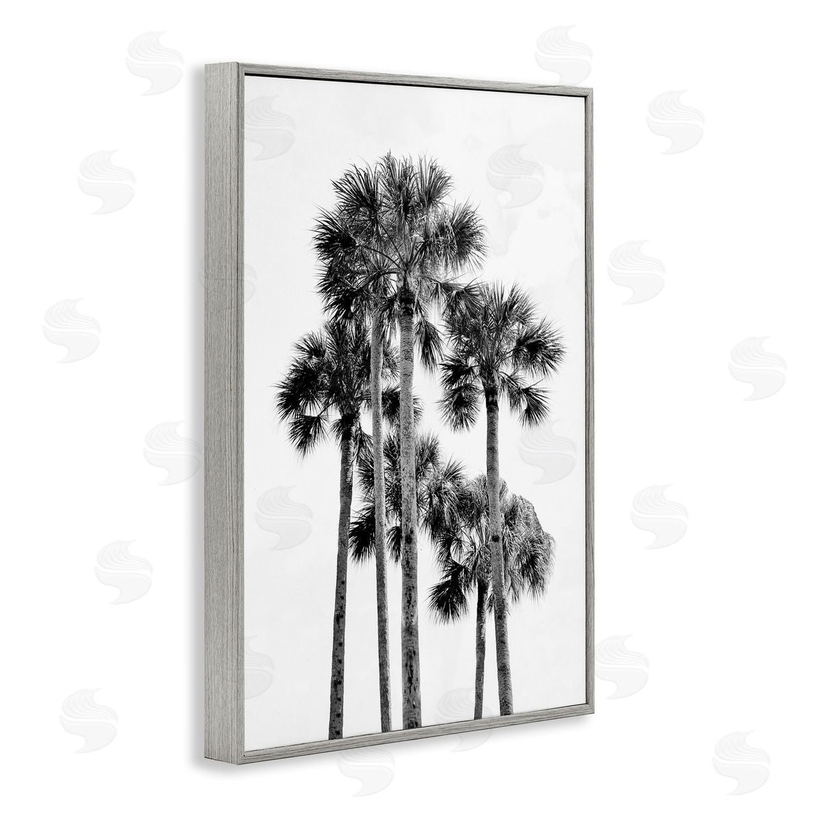 Natalie Carpentieri Black & White Palm Tropics Canvas Wall Art Print