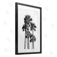 Natalie Carpentieri | Black & White Palm Tropics