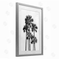 Natalie Carpentieri | Black & White Palm Tropics