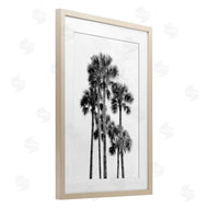 Natalie Carpentieri | Black & White Palm Tropics