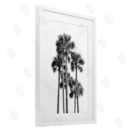Natalie Carpentieri | Black & White Palm Tropics