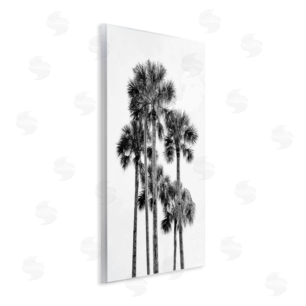 Natalie Carpentieri Black & White Palm Tropics Canvas Wall Art Print