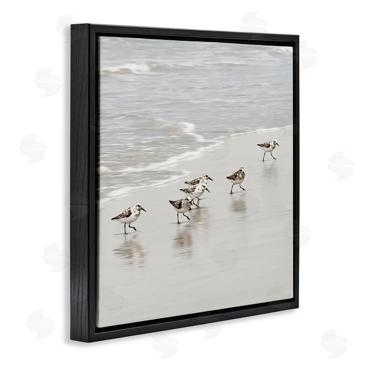 Natalie Carpentieri Scurrying Sandpiper Birds Canvas Wall Art Print