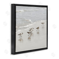 Natalie Carpentieri | Scurrying Sandpiper Birds
