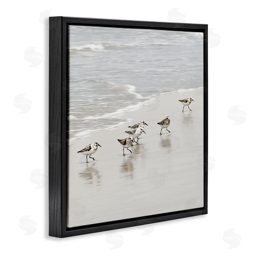 Natalie Carpentieri | Scurrying Sandpiper Birds