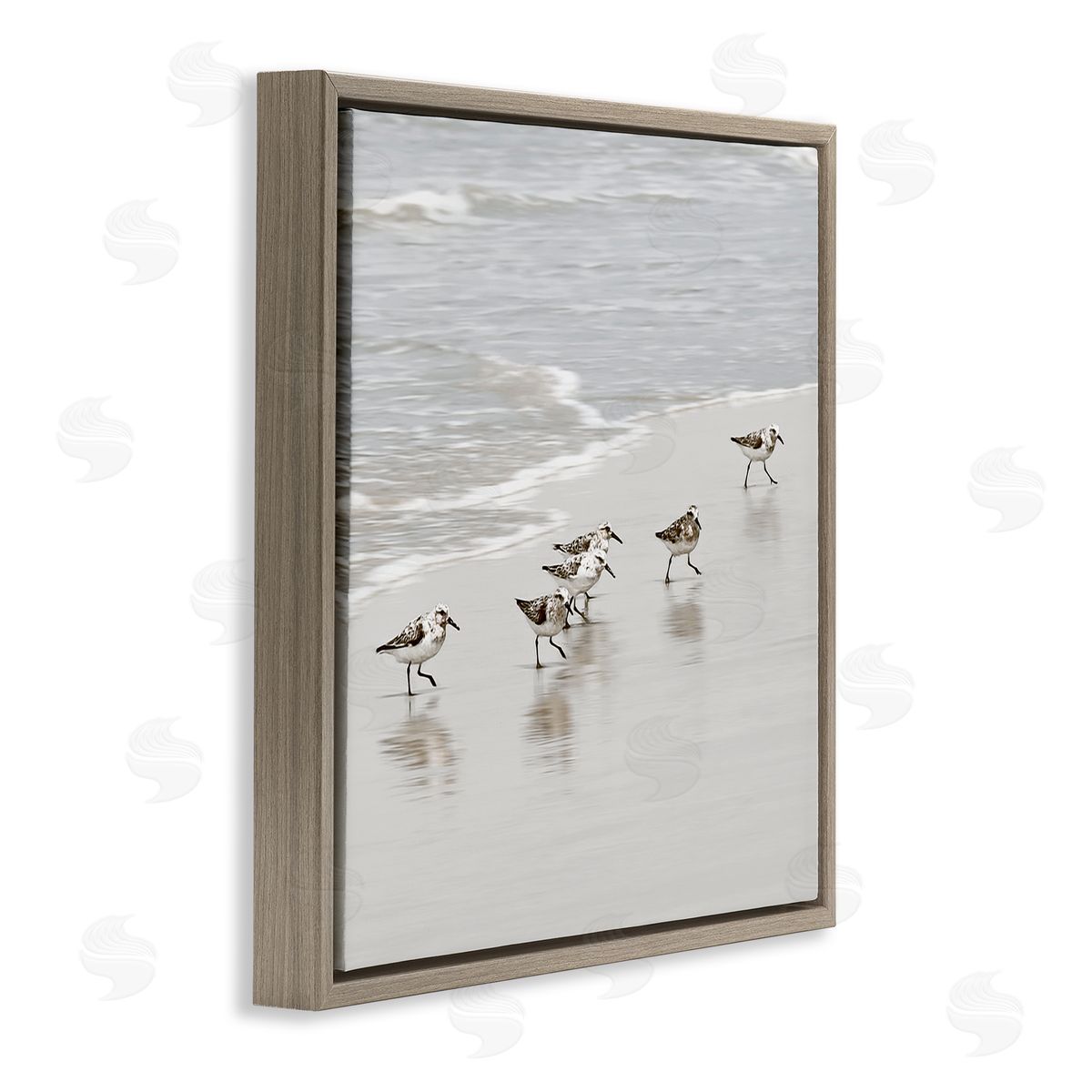 Natalie Carpentieri Scurrying Sandpiper Birds Canvas Wall Art Print