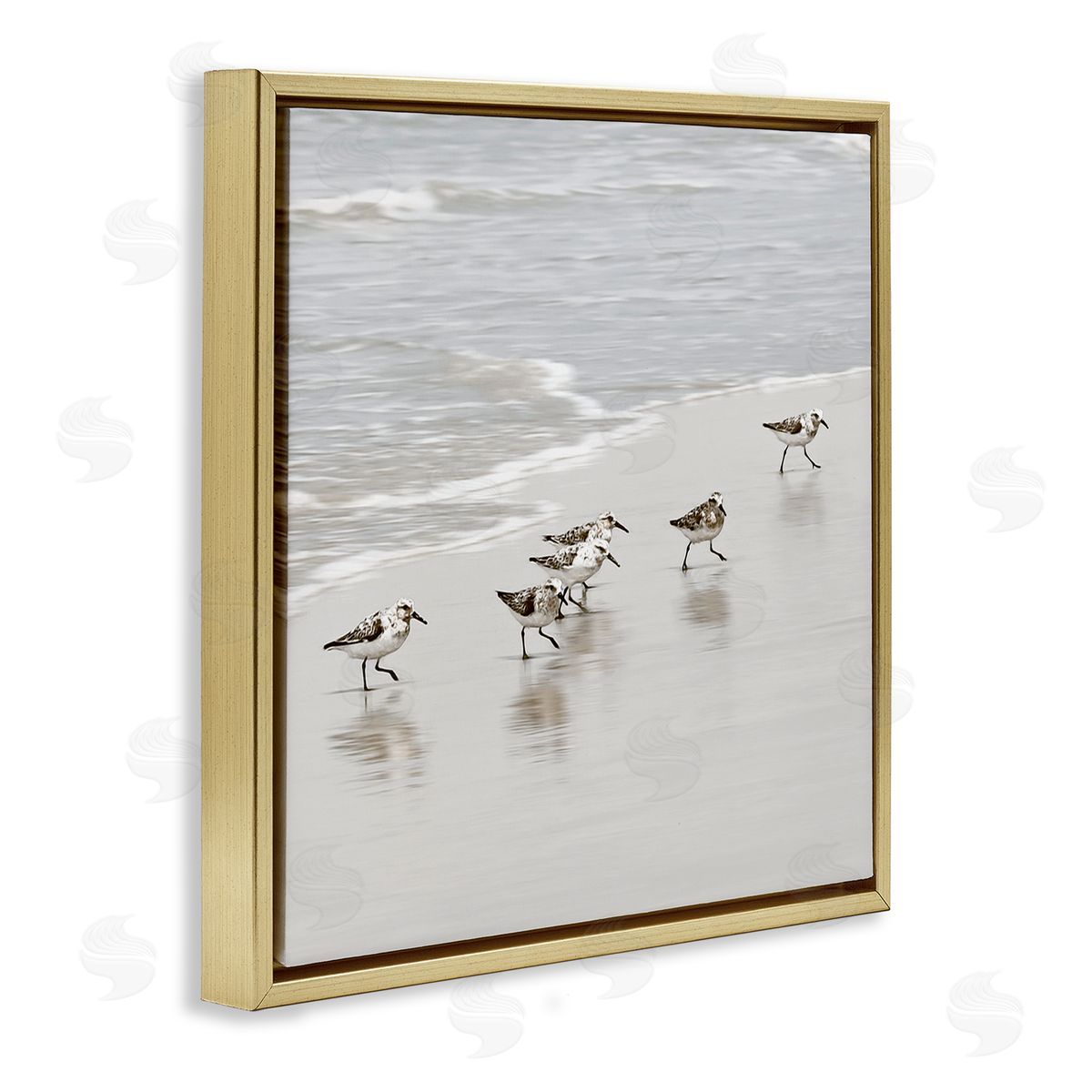 Natalie Carpentieri Scurrying Sandpiper Birds Canvas Wall Art Print