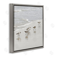 Natalie Carpentieri | Scurrying Sandpiper Birds