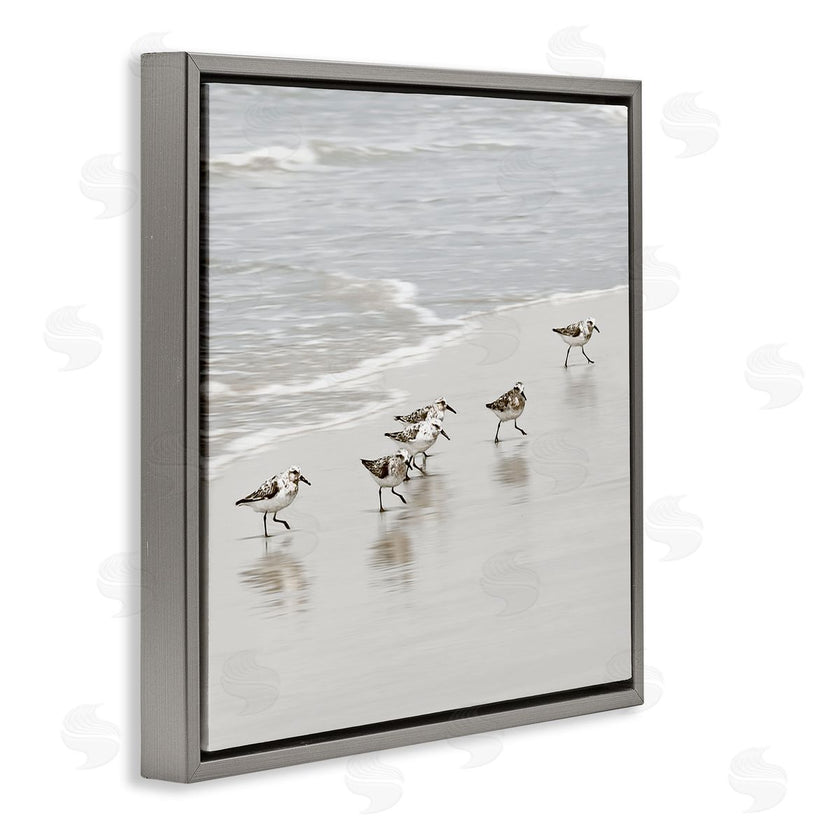 Natalie Carpentieri | Scurrying Sandpiper Birds