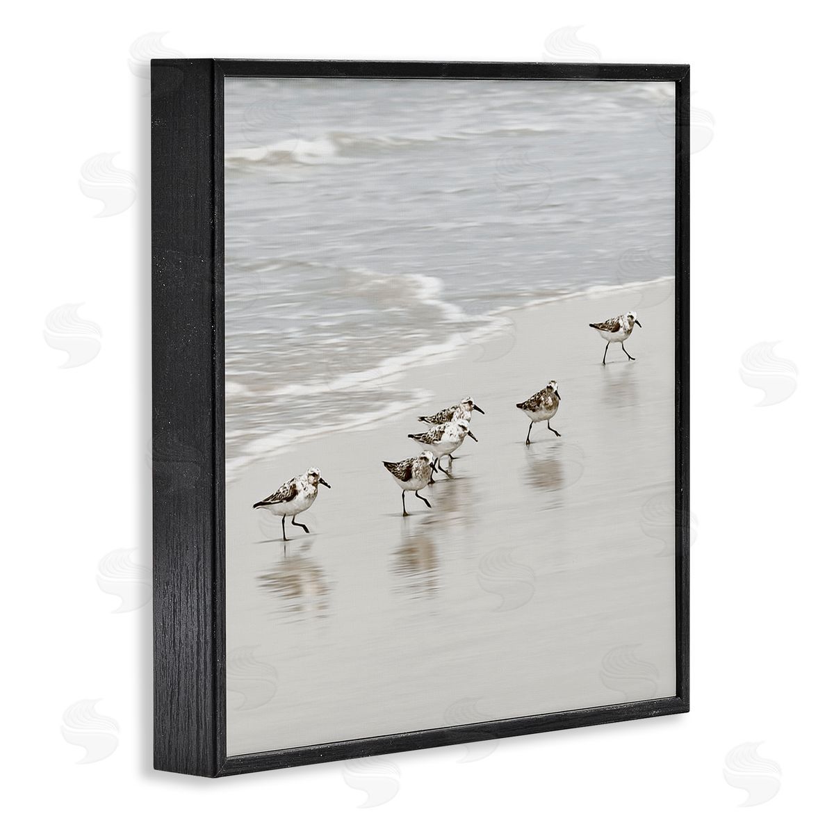 Natalie Carpentieri Scurrying Sandpiper Birds Canvas Wall Art Print