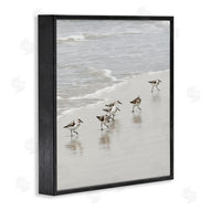 Natalie Carpentieri | Scurrying Sandpiper Birds