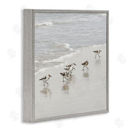 Natalie Carpentieri | Scurrying Sandpiper Birds
