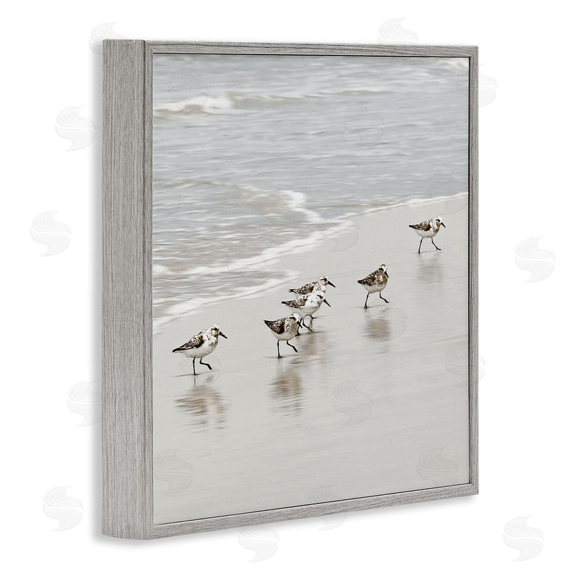 Natalie Carpentieri | Scurrying Sandpiper Birds