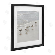 Natalie Carpentieri | Scurrying Sandpiper Birds