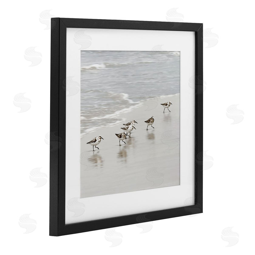 Natalie Carpentieri | Scurrying Sandpiper Birds