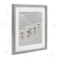 Natalie Carpentieri | Scurrying Sandpiper Birds