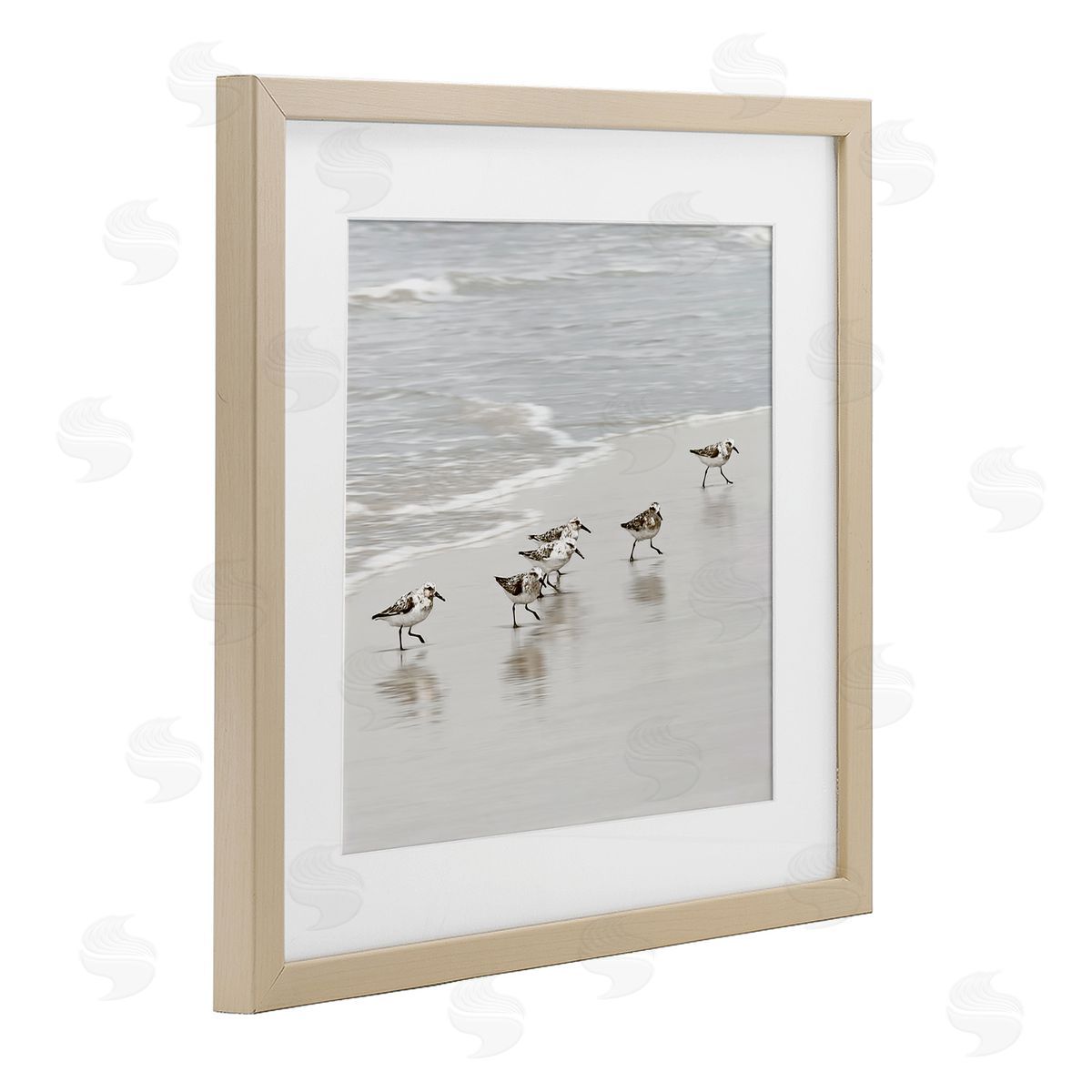 Natalie Carpentieri Scurrying Sandpiper Birds Canvas Wall Art Print
