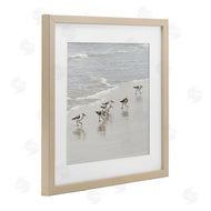 Natalie Carpentieri | Scurrying Sandpiper Birds