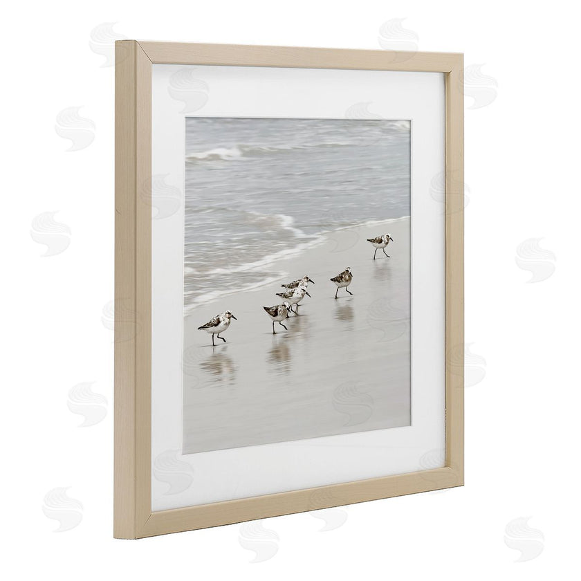 Natalie Carpentieri | Scurrying Sandpiper Birds