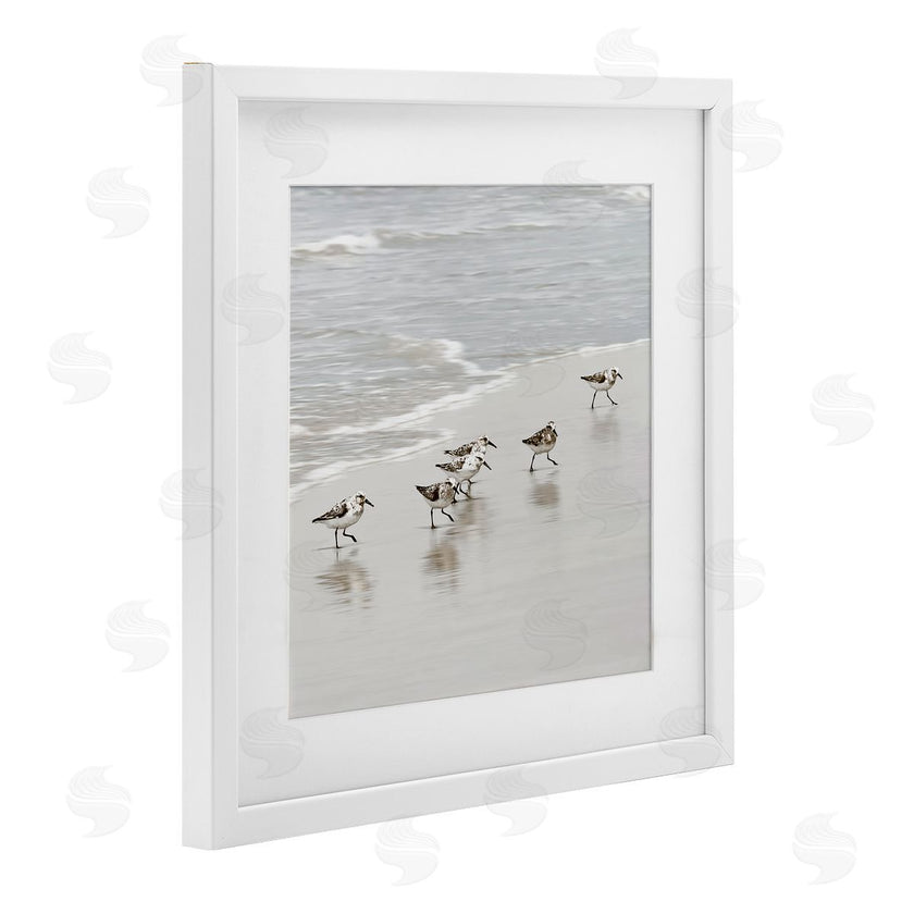 Natalie Carpentieri | Scurrying Sandpiper Birds