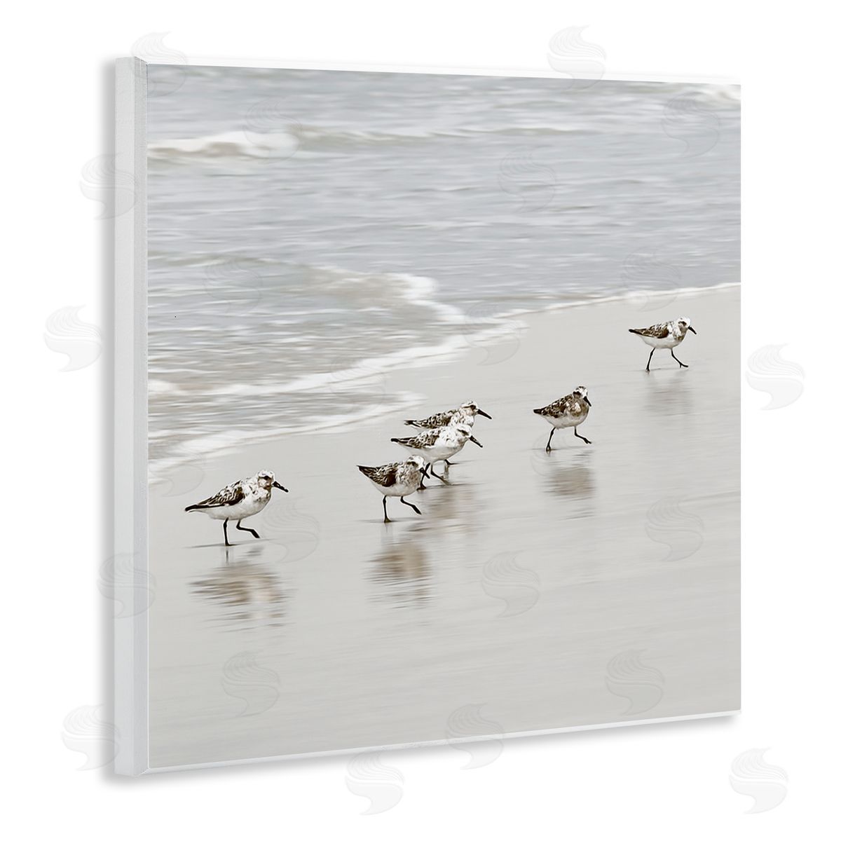 Natalie Carpentieri Scurrying Sandpiper Birds Canvas Wall Art Print