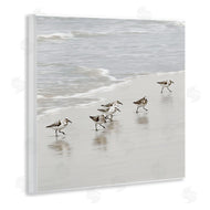 Natalie Carpentieri | Scurrying Sandpiper Birds