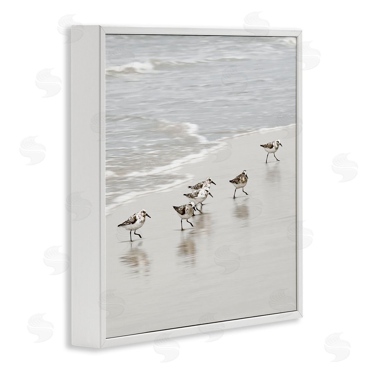 Natalie Carpentieri Scurrying Sandpiper Birds Canvas Wall Art Print