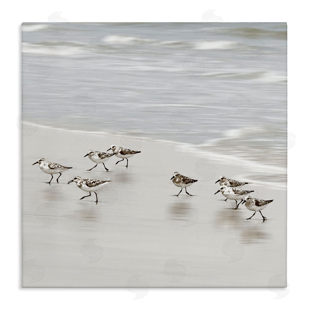 Natalie Carpentieri Beach Birds Scurrying Canvas Wall Art Print