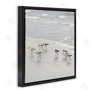 Natalie Carpentieri | Beach Birds Scurrying