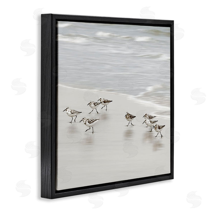 Natalie Carpentieri | Beach Birds Scurrying