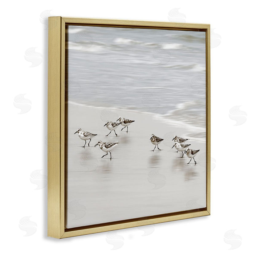 Natalie Carpentieri | Beach Birds Scurrying