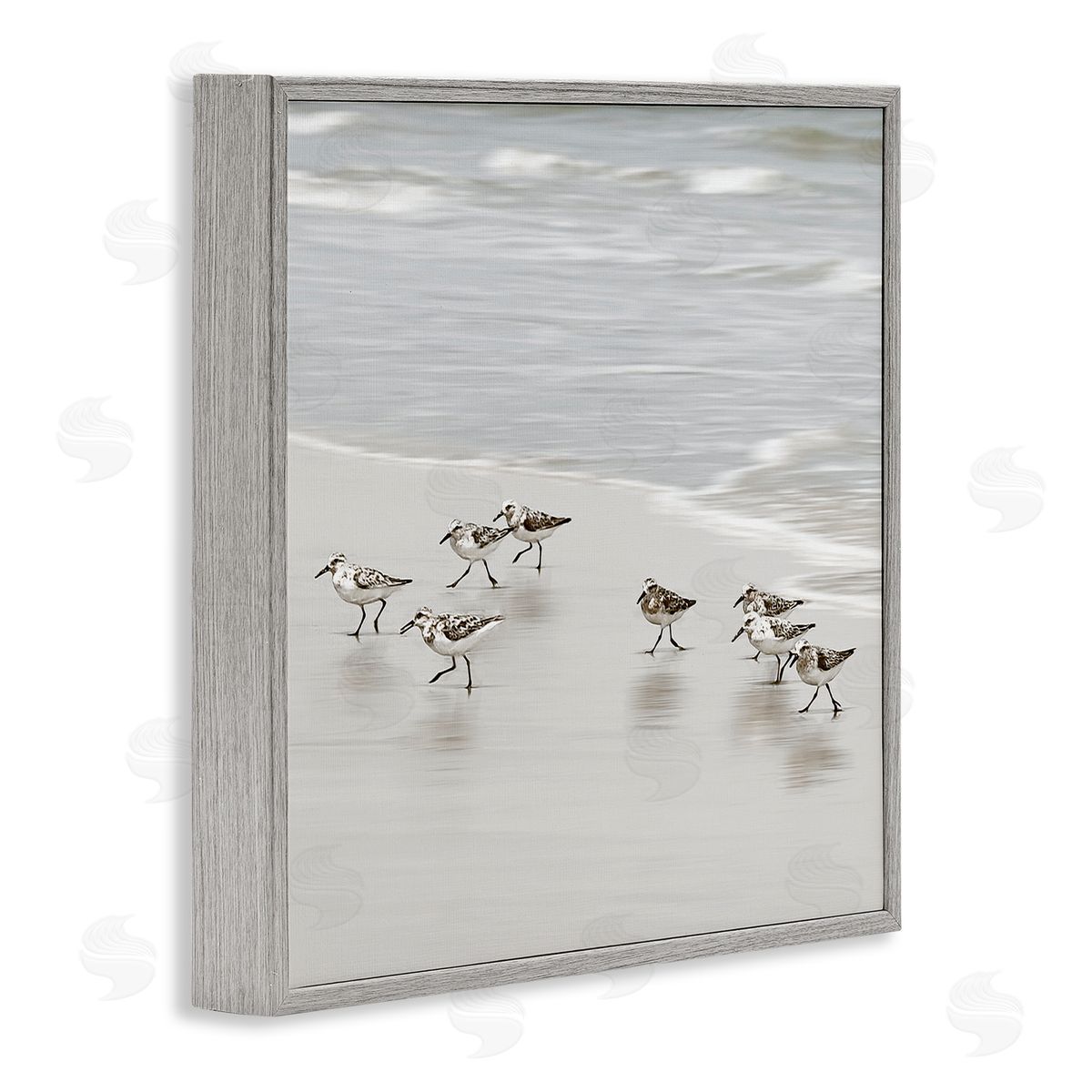 Natalie Carpentieri Beach Birds Scurrying Canvas Wall Art Print