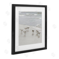 Natalie Carpentieri | Beach Birds Scurrying