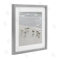 Natalie Carpentieri | Beach Birds Scurrying