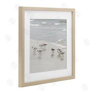Natalie Carpentieri | Beach Birds Scurrying